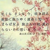 さくら 独唱 森山直太朗 Short V Song Lyrics And Music By 森山直太朗 Arranged By Rei Rei On Smule Social Singing App