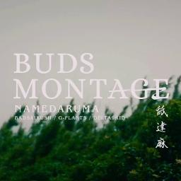 BUDS MONTAGE - Song Lyrics and Music by 舐達麻 arranged by __844__ on Smule  Social Singing app