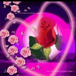 You Mean Ev Rything To Me Song Lyrics And Music By Neil Sedaka Arranged By Official Rafn On Smule Social Singing App
