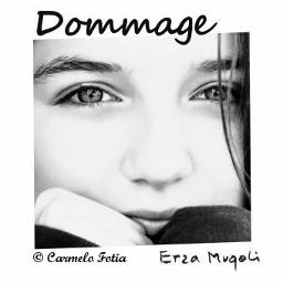 Dommage Song Lyrics and Music by Erza Muqoli arranged by