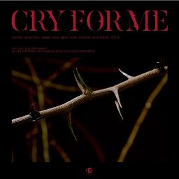 Cry For Me - Song Lyrics and Music by arranged by crunchycw on Smule