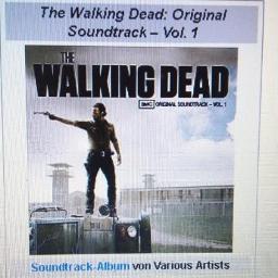 The Walking Dead Theme Song Song Lyrics And Music By Bear Mccreary Arranged By Kelvinarnandi On Smule Social Singing App