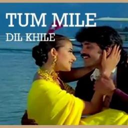 🌹Tu Mile Dil Khile {Customized Duet} HD
