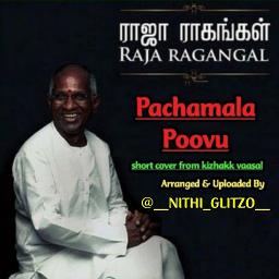 pachamala poovu video song free download