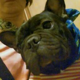 冒険者たちのバラード ガイドメロディ付 ガンバの冒険 Ed Song Lyrics And Music By すぎうらよしひろ Arranged By Anikizzz555 On Smule Social Singing App