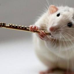 ネズミの進化 Song Lyrics And Music By スピッツ Arranged By Nobuhosen On Smule Social Singing App