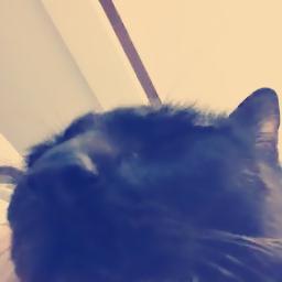 Maigo No Kokoro Piano 迷子のココロ Song Lyrics And Music By Haruka Nanami Sawashiro Miyuki 沢城みゆき Arranged By Gracewelch2 On Smule Social Singing App