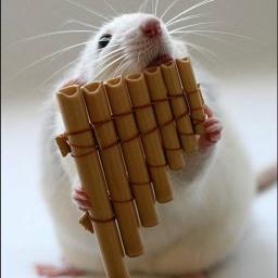 ネズミの進化 Song Lyrics And Music By スピッツ Arranged By Nobuhosen On Smule Social Singing App