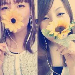 ひまわりになったら Song Lyrics And Music By Aiko Arranged By Miita15 On Smule Social Singing App ひまわりになったら Song Lyrics And Music By Aiko Arranged By Miita15 On Smule Social Singing App
