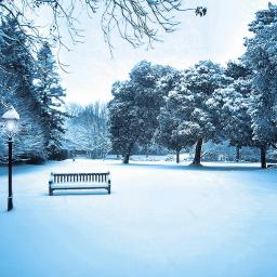 Лондон парк зима