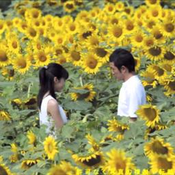 Hana Song Lyrics And Music By Orange Range Arranged By Mickeyhhh On Smule Social Singing App