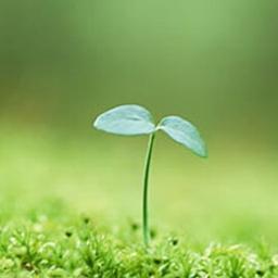 合唱曲予感 Song Lyrics And Music By 合唱曲arranged By Tara Cjcj On Smule Social Singing App