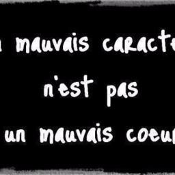 j ai mauvais caract re Song Lyrics and Music by Les Colocs