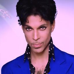When Doves Cry