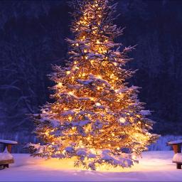 voltage christmas tsis muaj koj