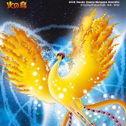 火の鳥 Song Lyrics And Music By 渡辺典子 Arranged By Naotam On Smule Social Singing App 火の鳥 Song Lyrics And Music By 渡辺典子 Arranged By Naotam On Smule Social Singing App