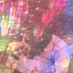 new flesh song lyrics