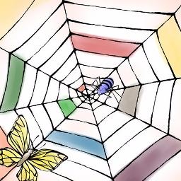 Amazon Hungry Spider 槇原敬之 槇原敬之 セイン カミュ 槇原敬之 J Pop ミュージック