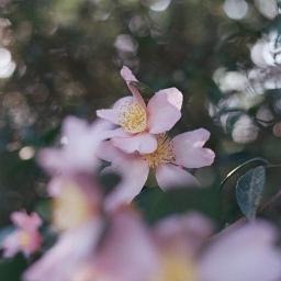 Running Out Song Lyrics and Music by Astrid S ft. Matoma arranged by