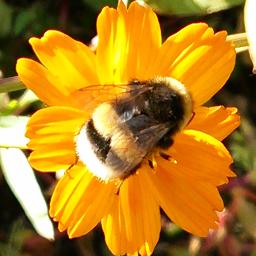 気になる１７才 あいざき進也 Song Lyrics And Music By あいざき進也 Arranged By J Shiichan On Smule Social Singing App