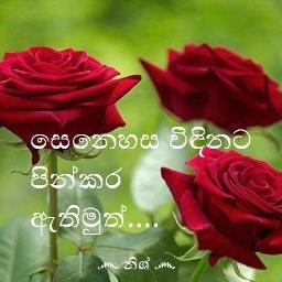 Senehasa windinata සෙනෙහස විඳිනට - Song Lyrics and Music by ...