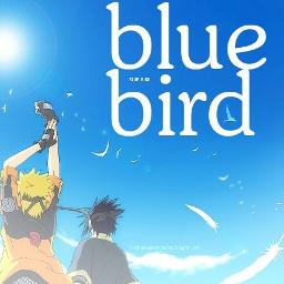 Blue Bird Band Cover ブルーバード Song Lyrics And Music By Ikimono Gakari Arranged By Siapatanya On Smule Social Singing App Blue Bird Band Cover ブルーバード Song Lyrics And Music By Ikimono Gakari Arranged By Siapatanya On Smule Social Singing App