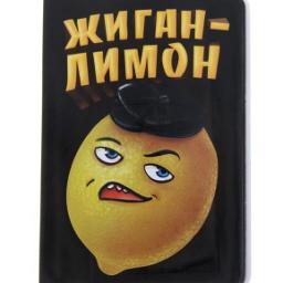 «Жиган-лимон». Александр Емельяненко показал, как тусит с бывшей женой (фото)