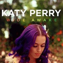 katy perry wide awake lyrics