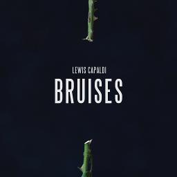 Bruises (Deeper Version)