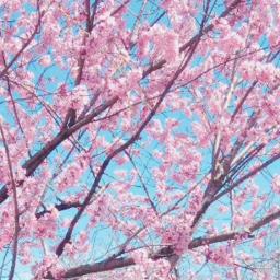 Dulang Kuring 2 - Song Lyrics and Music by Darso arranged by DeviSllu on Smule Social Singing app