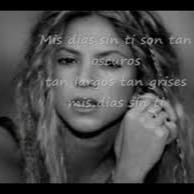 Moscas En La Casa - Song Lyrics and Music by Shakira arranged by LMEV