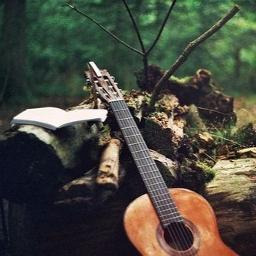 Изгиб гитары желтой (гитарный аккомпанемент)