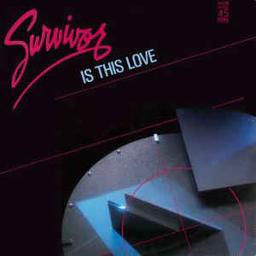 Love Survivor - Song Lyrics and Music by Future Cut arranged by DR ...