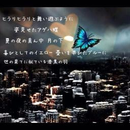 アゲハ蝶 Song Lyrics And Music By ポルノグラフィティ Arranged By Sakumax On Smule Social Singing App