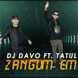 dj davo ft tatul avoyan zangum em