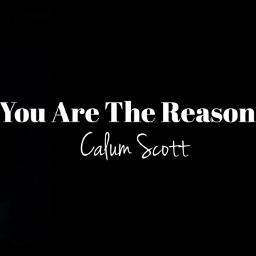 You Are The Reason - Song Lyrics and Music by Calum Scott arranged by ...