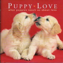 Puppy Love - Song Lyrics and Music by Paul Anka arranged by VSS_Zenon ...