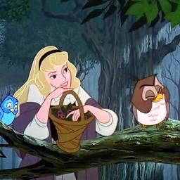 私は不思議 Song Lyrics And Music By 眠れる森の美女 ディズニー Arranged By Donald0609 On Smule Social Singing App