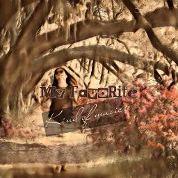 かもめはかもめ Kamome Wa Kamome Romaji Song Lyrics And Music By 研ナオコ Arranged By Ai Lhet 07 15 On Smule Social Singing App