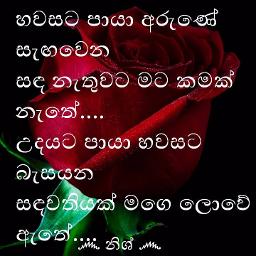 Hawasata paya හවසට පායා අරුණේ සැඟවෙන - Song Lyrics and Music by Greshan ...