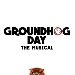 seeing you groundhog day lyrics