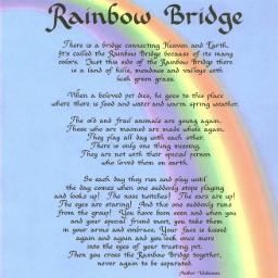 The Rainbow Bridge Song Lyrics And Music By Unknown Author Arranged By Joshfraim On Smule Social Singing App