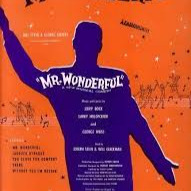 Mr. Wonderful Song Lyrics and Music by Mr. Wonderful arranged by