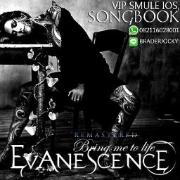 Bring Me To Life - Evanescence BRADERJOCKY