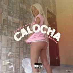 lento horno salida Calocha - Song Lyrics and Music by Barbie Rican Ft Jamsha arranged by  RoNal_Mx on Smule Social Singing app