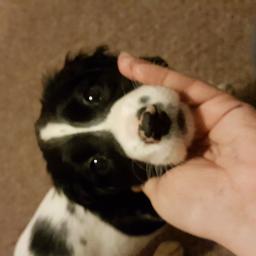 See Ya Song Lyrics and Music by Atomic Kitten arranged by