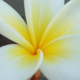 Terminal Song Lyrics and Music by Rupert Holmes arranged by MSI