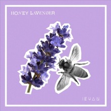 Honey Lavender - Song Lyrics and Music by Ieuan arranged by _XxBluexX_ ...