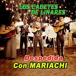 Despedida Con Mariachi - Song Lyrics And Music By Los Cadetes De 