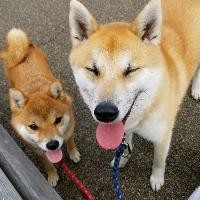 チョコモナカジャンボ Cmソング Song Lyrics And Music By 吉川晃司 Arranged By Satoshi 00 On Smule Social Singing App